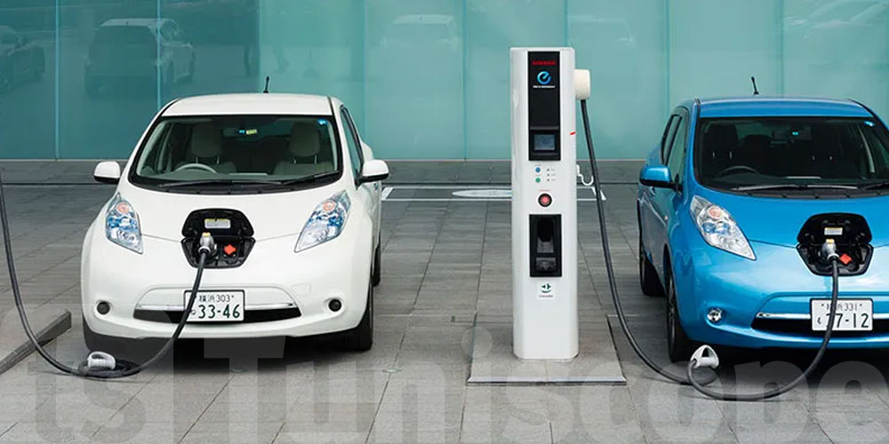 Mahdia : 14 jeunes formés aux métiers de la recharge des voitures électriques